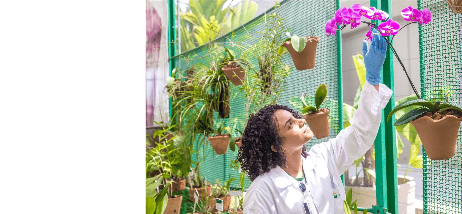 Imagem de fundo do banner