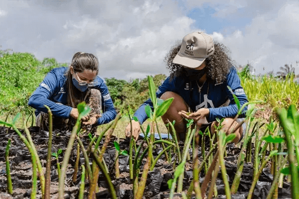 Homem e mulher plantando mudas para projeto socioambiental apoiado pela Petrobras.