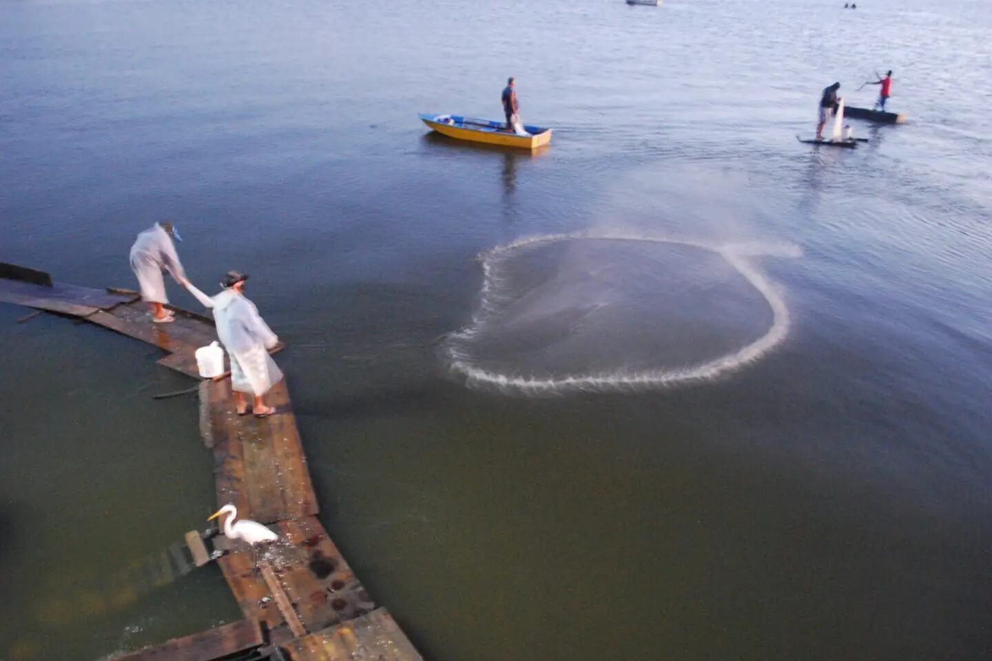 Rede de projeto Uso Sustentável dos Sitemas Lagunares em lago