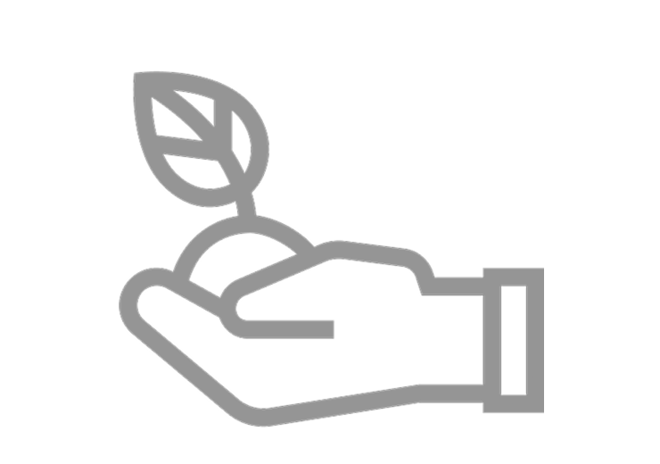 Ilustração simplificada de uma mão com a palma aberta virada para cima, segurando uma muda de planta.